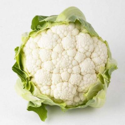 Концепт (Concept)