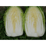 Юки (Yuki)