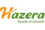 Hazera