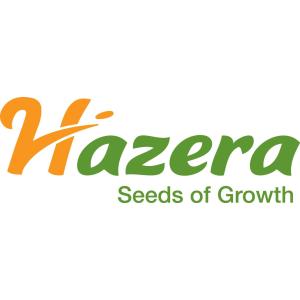 Hazera