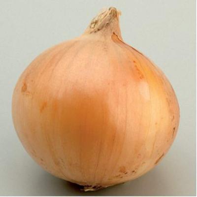 Касиопея (Cassiopea)