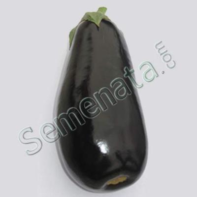 Израелски 8005 