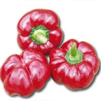 Кабала (Kabala)