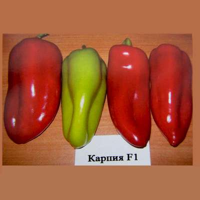 Карпия (Karpia)
