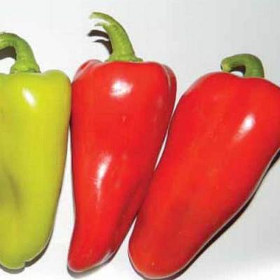 Любов (Lubov)