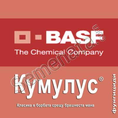 Кумулус (Cumulus) 