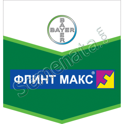 Флинт Макс