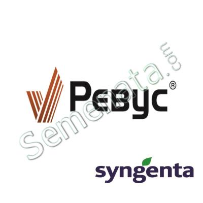 Ревус (Revus)