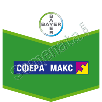 Сфера Макс