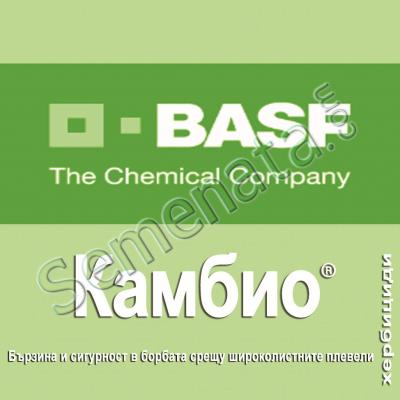 Камбио (Cambio) 