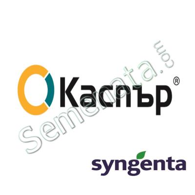 Каспър (Casper) 