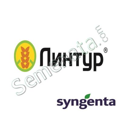 Линтур (Lintur) 