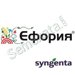 Ефория (Eforia) Ефория (Eforia)