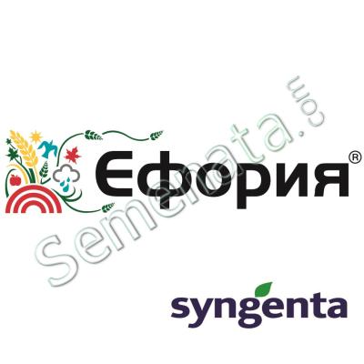 Ефория (Eforia) 