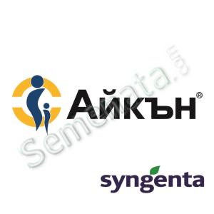 Айкън (Icon)