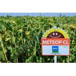Метеор (Meteor CL)