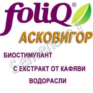 Асковигор (Ascovigor) Асковигор (Ascovigor)
