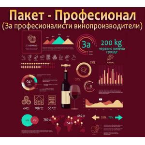 Пакет "ПРОФЕСИОНАЛ" Пакет "ПРОФЕСИОНАЛ"