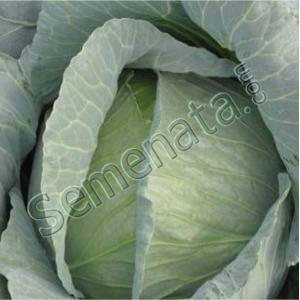 Марлу (Marloo) Марлу (Marloo)