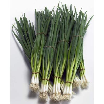 Кайгаро (Kaigaro)